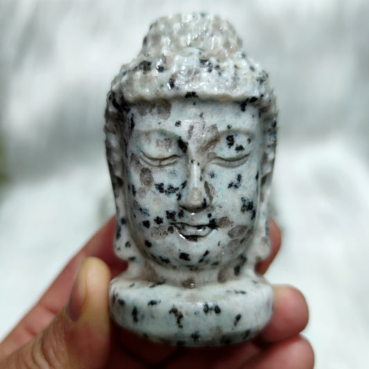 Kiwi stone buddha head