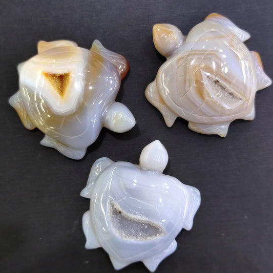 Nice druzy agate turtles